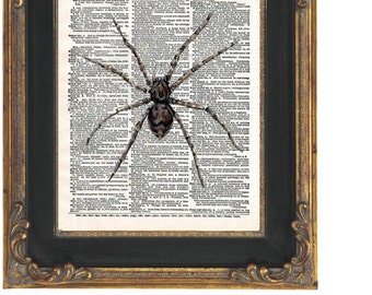 Spider Dictionary Page Art Print 8 x 10 - Altered Art Collage - Horror - Goth