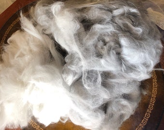 Silver/Grey Angora Rabbit fiber