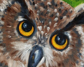 Barn Owl Oil painting on canvas, Original Fine Art Owl Painting in oil - 10x10 by Marla