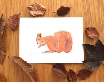 Squirrel watercolour, original painting squirrel art, woodland animals art, nursery decor, nursery art, squirrel artwork, squirrel original