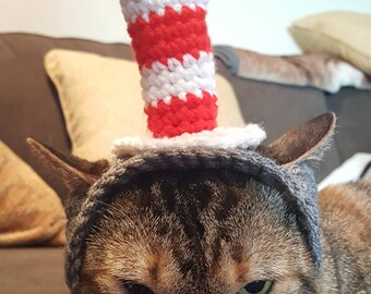 Cat in the Hat Cat Hat