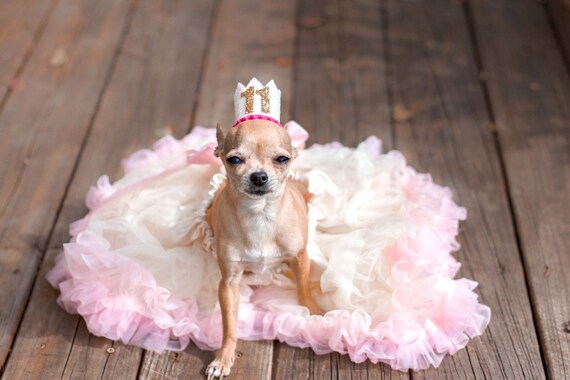Dog Party Hat, Animal Crown, Animal Party Birthday Party White Pink Gold || Dog Bandana