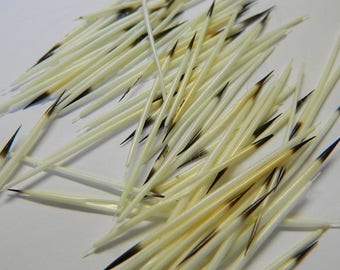 10/25 North American Porcupine Quills - Craft Sized Real Porcupine Quills; Jewelry Making, Scrap Booking, Craft Projects - Detash Emporium