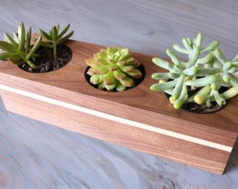 Succulent Holder - Wood Planter