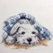 Finished / Completed Cross Stitch -Vervaco Little Puppy under blanket (70.121) crossstitch counted cross stitch