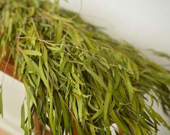 Bunch of green agonis, willow "eucalyptus", willow leaves, green "eucalyptus", greenery, preserved eucalyptus, preserved leaves