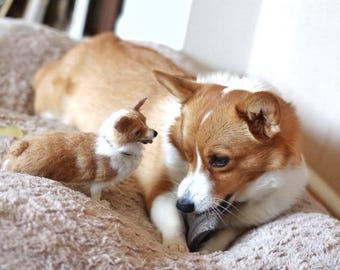 Needlefelted Dog/Needle felted Pembroke Corgi /Needle Felted Dog /OOAK/ Custom Miniature Sculpture of your dog