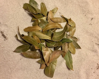 Organic Oak Leaf Litter ~ Hermit Crab Food
