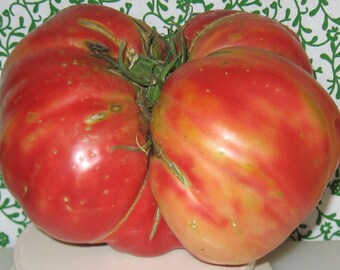 Church Heirloom Tomato Seeds