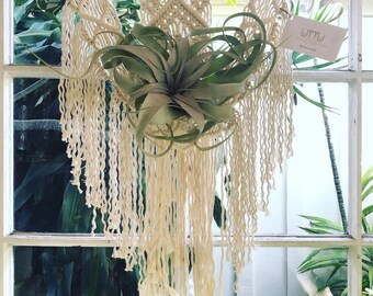 Living wall art | Etsy