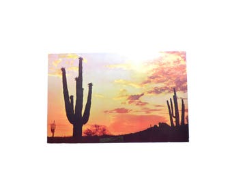 Vintage Desert Sunset Postcard Cactus Postcard Desert Landscape Postcard Kodachrome Postcard Vintage Postcard Arizona