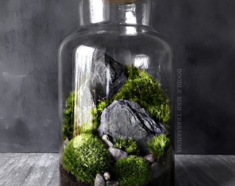 Indoor Moss Garden Multilevel Recycled Glass Terrarium