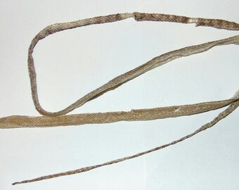 Complete Snake Shed Skin - Wamena Scrub Python