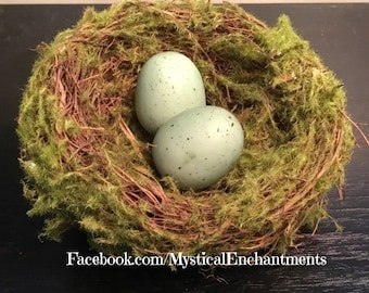 Mossy Spring Birds nest with bird eggs- 3 1/2-4"