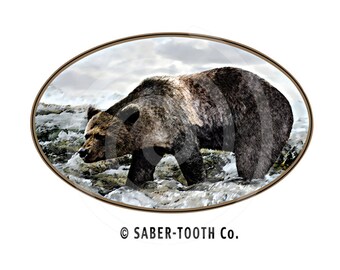 Grizzly Bear Oval Decal Sticker