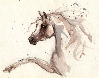 Arabian horse original pen and watercolour painting