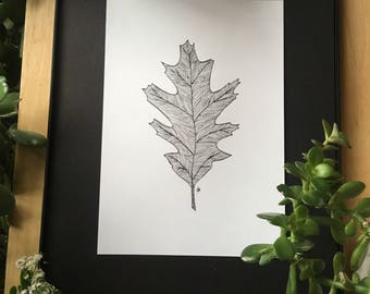Oak leaf
