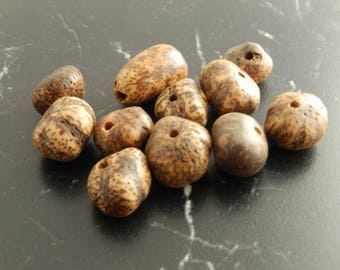 deBOSCIA ALBITRUNCA set of 5 beads seed beads
