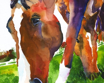 Grazing Horses 11x14 Signed Art Print