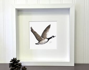 Canadian Goose, 5 x 5 inches, Print of an original drawing, Migratory bird collection