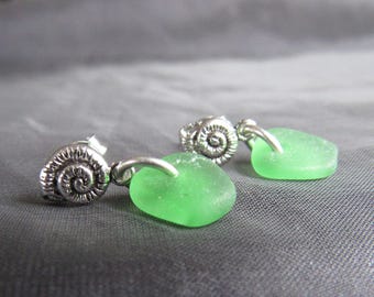 Sea Glass Post Earrings / beach glass studs / sea glass jewelry / seashell earrings / sterling silver earrings / beachy jewelry