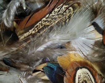 Bag of Feathers, Embellishments, Notions, Supplies, Decorative, Decorations