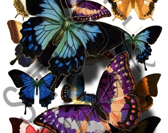 Vintage Butterflies Digital Collage Sheets - 4 Sizes! - Colorful Butterflies Printable - Images for Jewelry, Collage - Instant Download