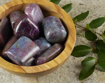 Two RUBY & KYANITE Tumbled Stones - Ruby Crystal, Kyanite Crystal, Kyanite Crystal, Ruby Stone, Blue Kyanite Stone, Healing Stone E0218