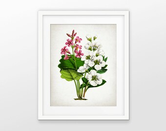 Pink And White Flower Print - Flower Decor - Botanical Print - Colorful Flower Decor - Flower Art - Single Print #1666 - INSTANT DOWNLOAD