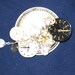 Steampunk Cluster Collage pin