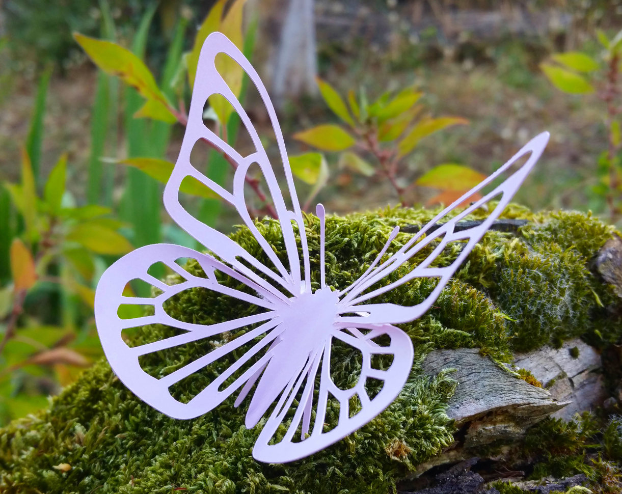 Stunning SVG Butterfly 3D or 2D. Cricut & Silhouette cut ...
