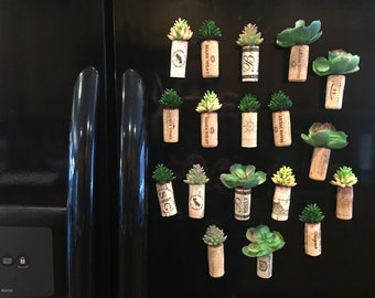Succulent Cork Magnets