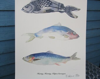 3 Herring
