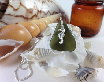 The Olive Sea Horse !
