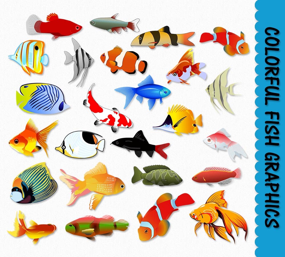 Pesce Clip Art pesci colorati Clipart Grafica Scrapbook oceano tropicale di Digital Download acqua salata Marina animale JPG PNG uso merciale