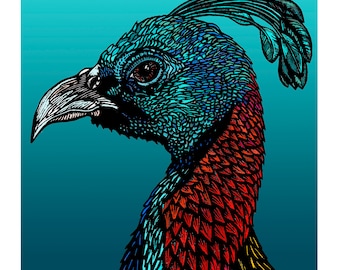 Wall Art, Giclee Art Print A4 - Himalayan Monal Pheasant - Signed