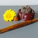 Chechen Wood Stylus Pen with Gunmetal Accent