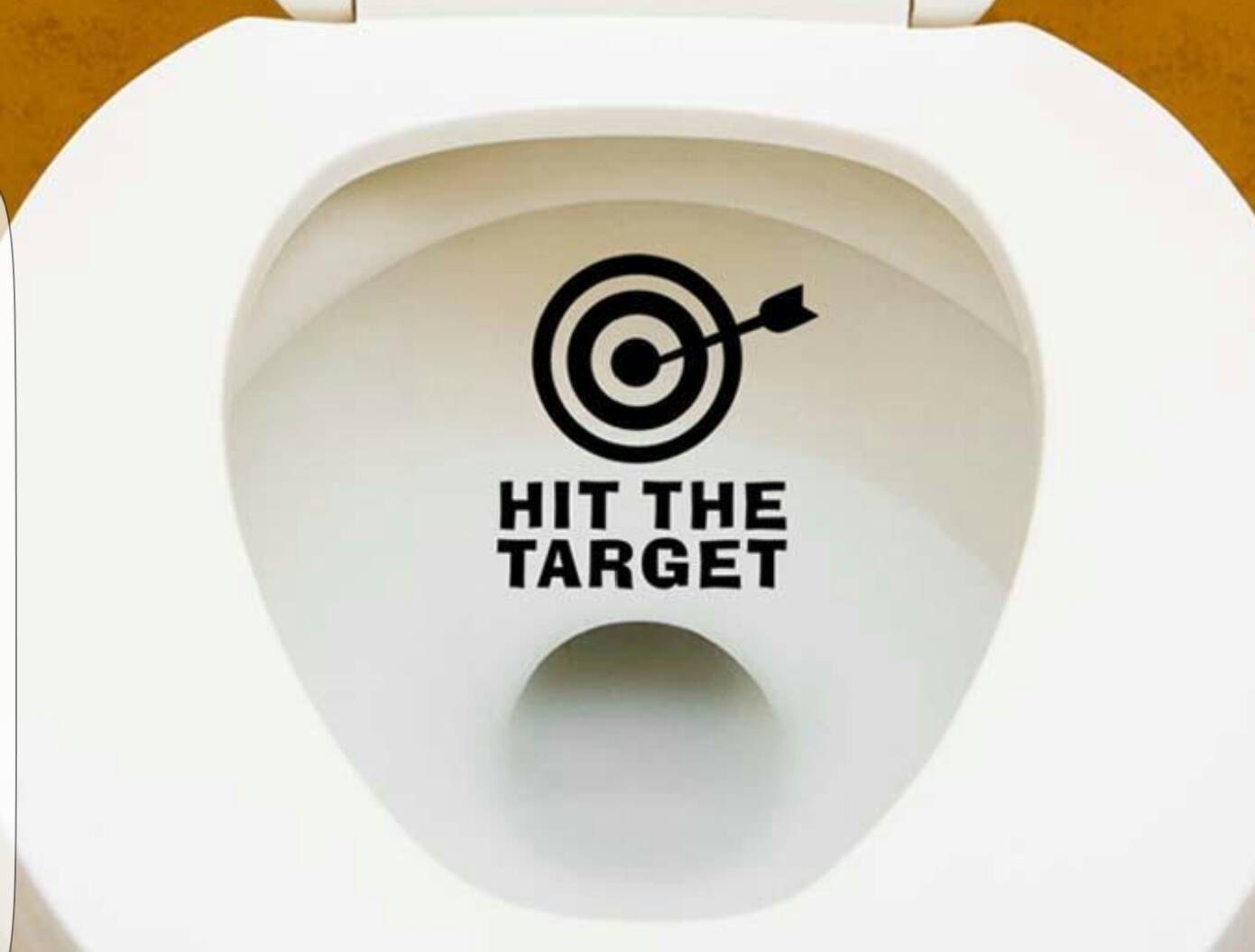 Toilet target Decal Toilet bulls eye Potty Training Aiming