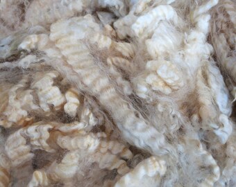 Border Leicester raw wool fleece unwashed - 3kg