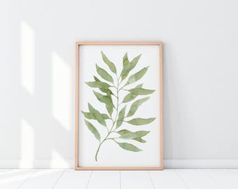 Watercolor Eucalyptus Leaves | Watercolor Print | Watercolor Botanicals Print | Watercolor Foliage | Hanging | Home Decor | Wall Art