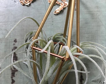 Air Plant Necklace