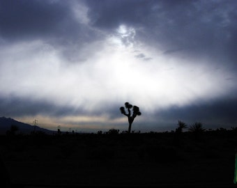 Joshua In Light 8.5 x 11 Print