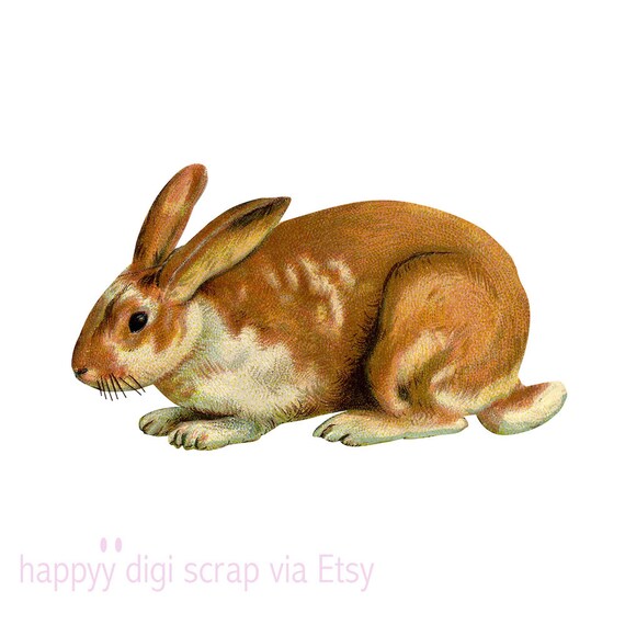 easter rabbit egg peter with png Hase Vintage Hase Clip Art Osterhase Sofort Donwload easter rabbit egg peter with png Hase Vintage Hase Clip Art Osterhase Sofort Donwload