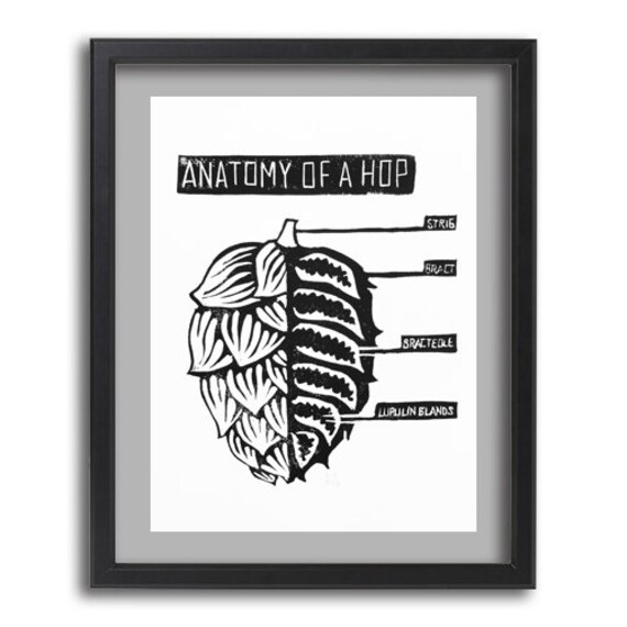 Anatomy of a Hop