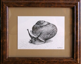 Pen & Ink Snail Drawing, "Snail Poe"