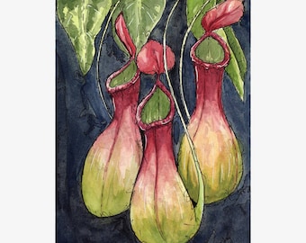 Original Watercolor Painting - Pitcher Plant - Carnivorous flowers - watercolour art by Ela Steel