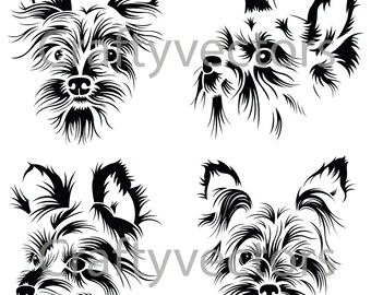 Yorkshire Terrier Portraits Vector File SVG