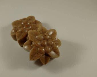 Vanilla Bear Vanilla Sandalwood Soap