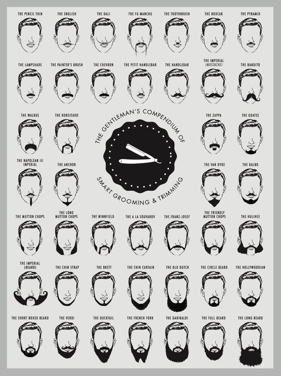 beard and mustache print beard chart beard chart art print beard trimming chart