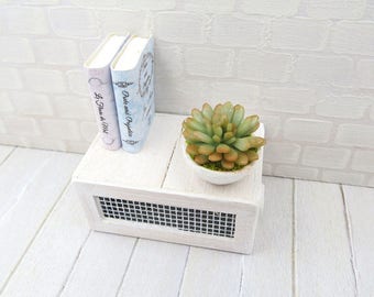 Succulent Echeveria in white bowl for dollhouse in 1:12 scale